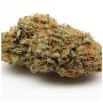 Шишки AK47  (Гидропоника, Бошка) VHQ в Киреевске